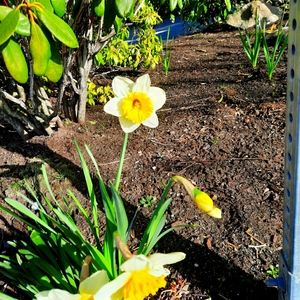 Meet your Posher, Bryna